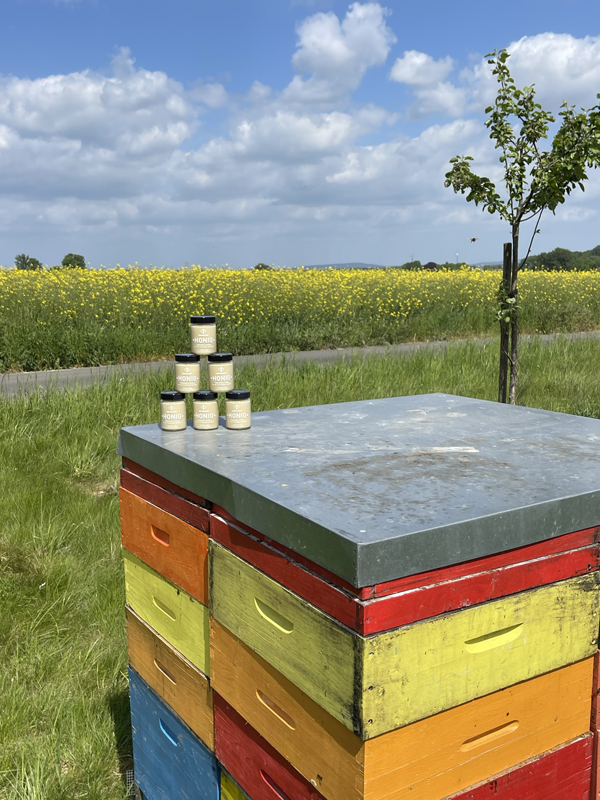 Bienenbeute am Raps mit SUMMSTOFF Honiggläser 